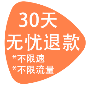 年付套餐 | 约16.7元/月 自动发货到邮箱